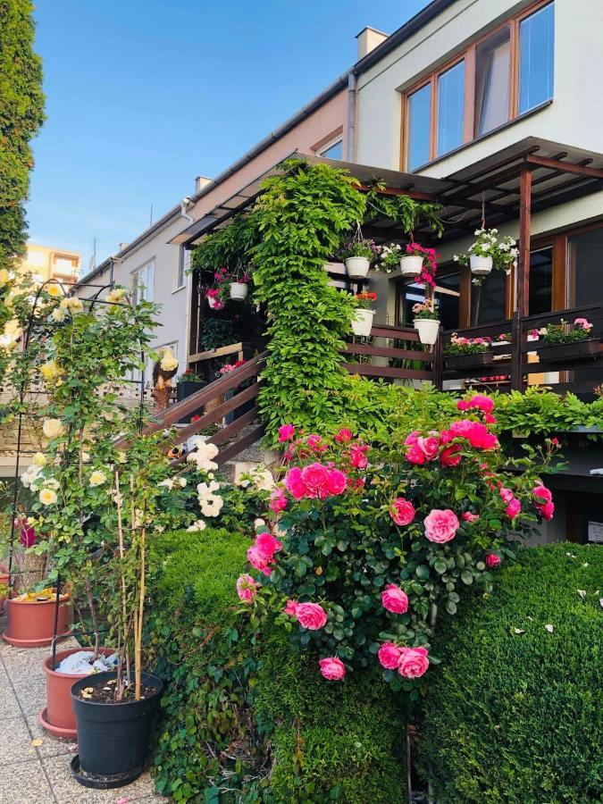Ubytovani Na Hrazi 91 Znojmo Exteriör bild