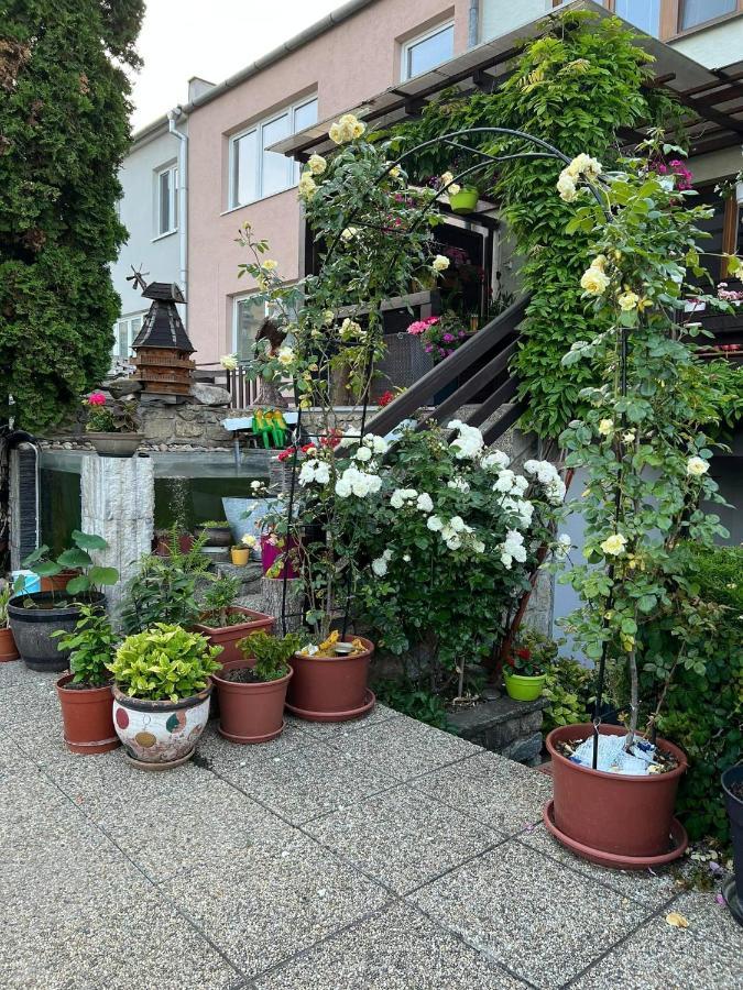 Ubytovani Na Hrazi 91 Znojmo Exteriör bild