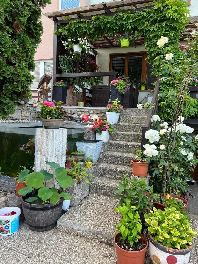 Ubytovani Na Hrazi 91 Znojmo Exteriör bild
