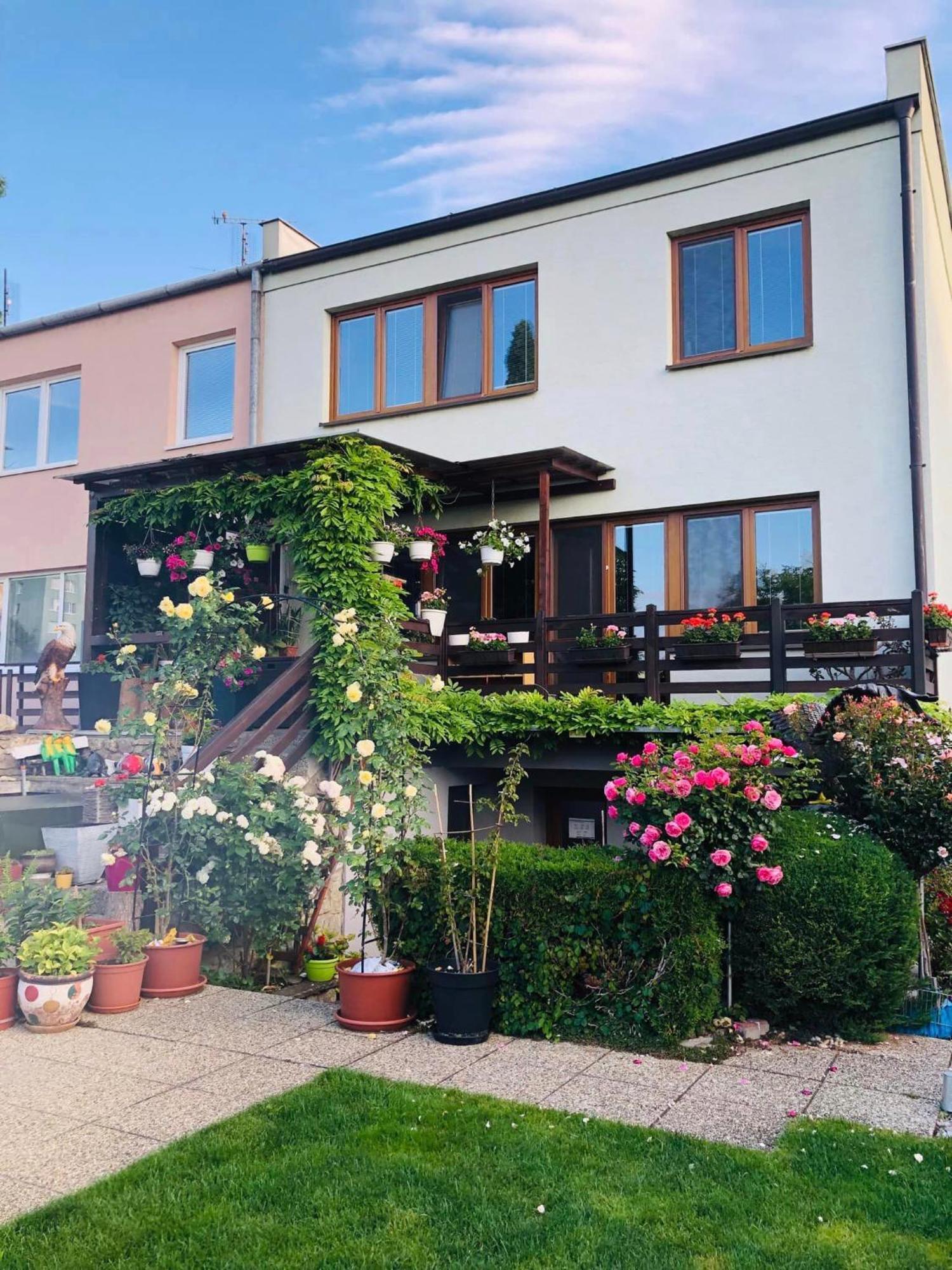 Ubytovani Na Hrazi 91 Znojmo Exteriör bild