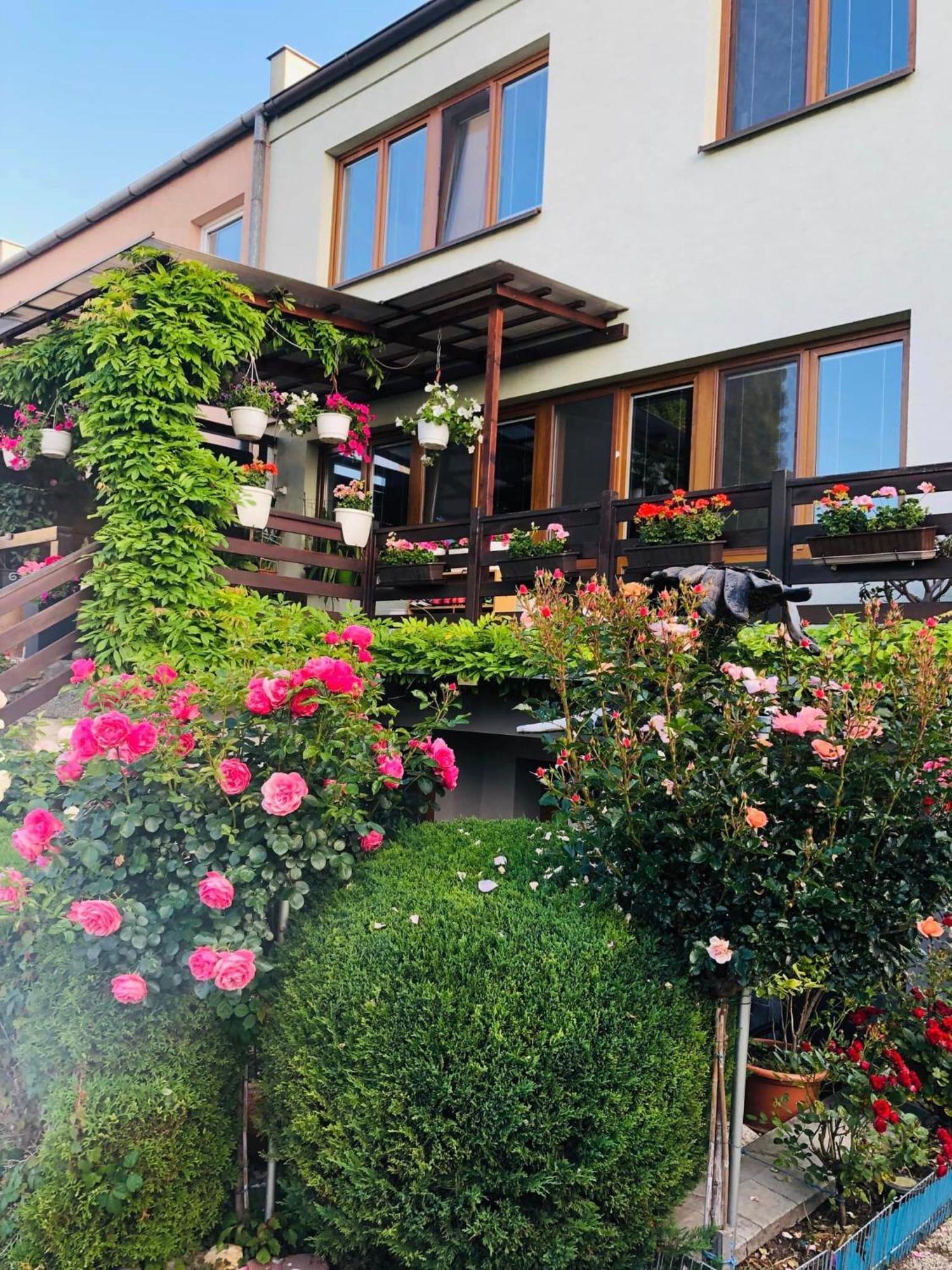 Ubytovani Na Hrazi 91 Znojmo Exteriör bild