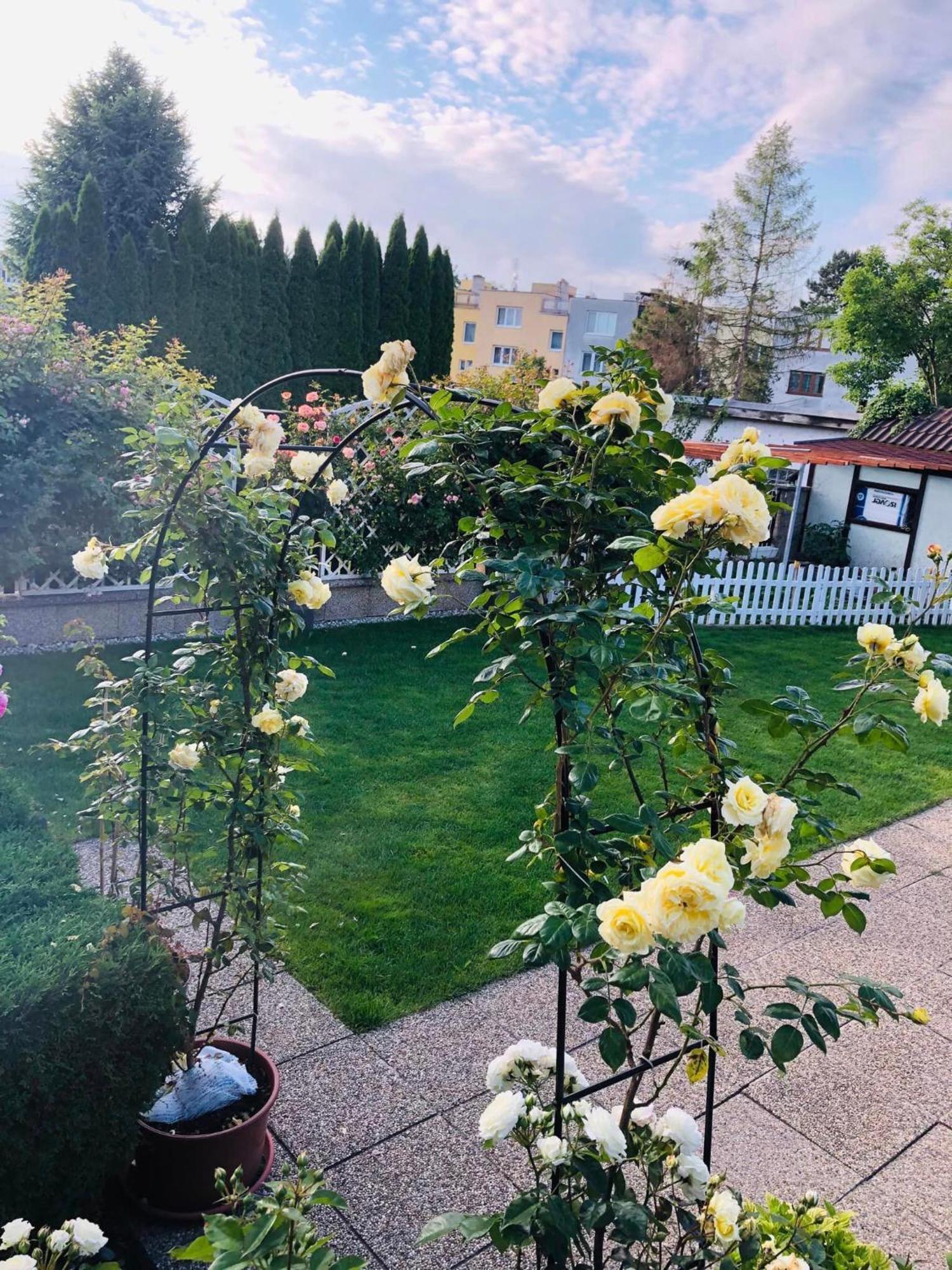 Ubytovani Na Hrazi 91 Znojmo Exteriör bild