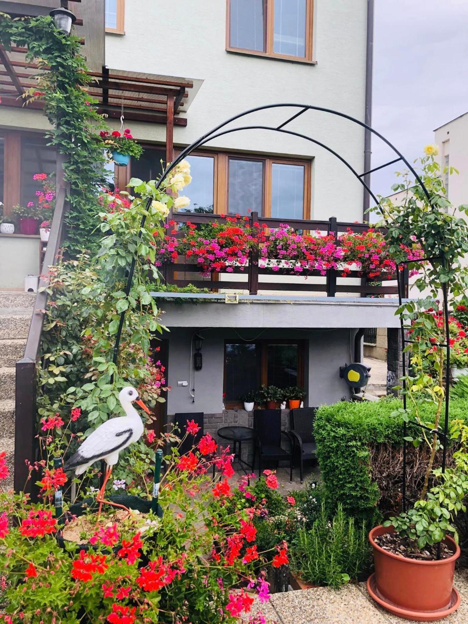 Ubytovani Na Hrazi 91 Znojmo Exteriör bild